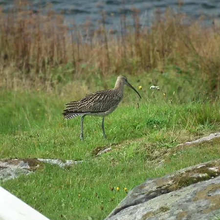 , øygarden, Bergen Leilighet *